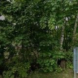 REKREAČNÍ DŮM RYBNIŠTĚ