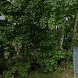 obrazek: avatar REKREAČNÍ DŮM RYBNIŠTĚ