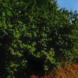 HOSTINEC-PENZION U HAVLŮ