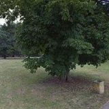 HOSPODA U LETNÍHO KINA