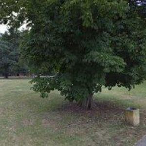 obrazek: avatar HOSPODA U LETNÍHO KINA