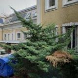 HOTEL & RESTAURANT NAUTICO