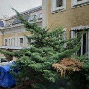 obrazek: avatar HOTEL & RESTAURANT NAUTICO