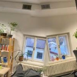 obrazek: avatar PIZZA XXL