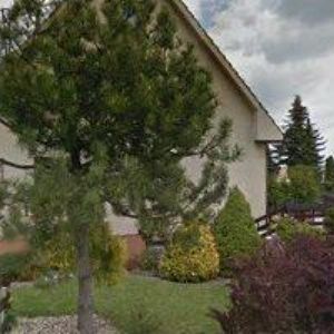 obrazek: avatar PENZION U LESA