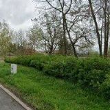 VAJSBERGEROVÁ JANA Ing.