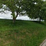 TOMÁŠKOVÁ DANA Ing.