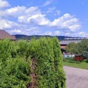 obrazek: avatar NEUMANOVÁ MARCELA