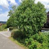 HUJEROVÁ MONIKA Ing.