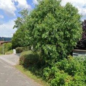 obrazek: avatar HUJEROVÁ MONIKA Ing.