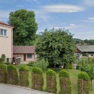 obrazek: avatar KULTOVÁ JARMILA