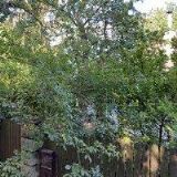 ČEČETKOVÁ HANA Ing.