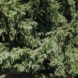 HERŠÁLKOVÁ MARCELA Ing.