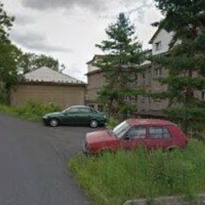 obrazek: avatar PEŠKOVÁ DANIELA