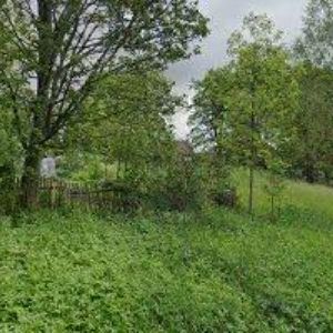 obrazek: avatar SUCHÁ IVA Ing.