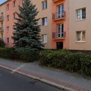 obrazek: avatar MÜLLEROVÁ OLGA