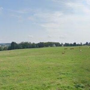 obrazek: avatar PÚDELKOVÁ MARTINA