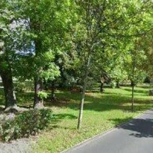 obrazek: avatar REHÁKOVÁ EVA Ing.