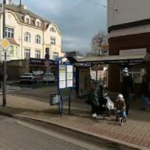 obrazek: avatar VOŠVRDOVÁ ALICE