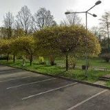 BAMBINO DĚTSKÝ KLUB