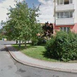 obrazek: avatar JANOŠÍKOVÁ SOŇA