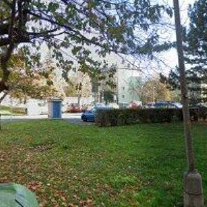 obrazek: avatar ŠLÉGROVÁ VLASTA