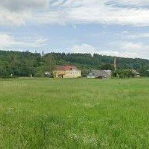 obrazek: avatar NOSKOVÁ BLANKA