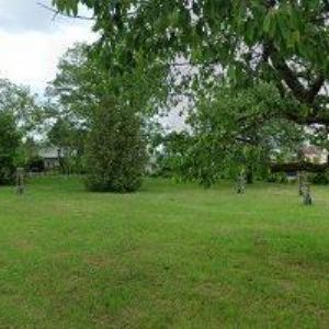 obrazek: avatar KLECAROVÁ ZDENKA