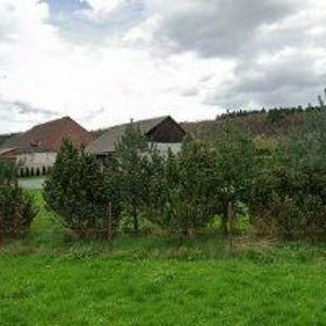 obrazek: avatar SVOBODOVÁ ALBÍNA Ing.