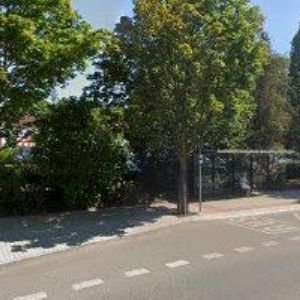 obrazek: avatar ANSORGOVÁ DANA