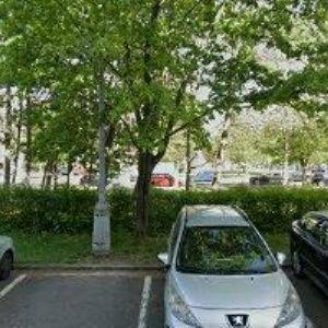 obrazek: avatar BERGEROVÁ VĚRA