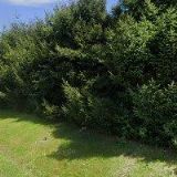 VALÁŠEK MARTIN Ing.