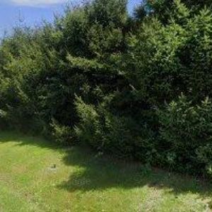 obrazek: avatar VALÁŠEK MARTIN Ing.