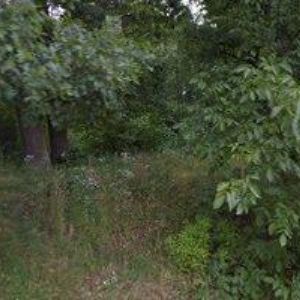 obrazek: avatar HUŠKOVÁ VĚRA