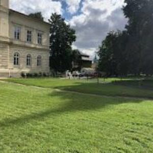 obrazek: avatar MLMADRE s.r.o.