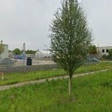 TERMOHOSPITAL CZ s.r.o.