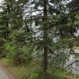 MERKA SPEDITION , s.r.o.