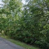 IMPORT PARTNER , spol. s r.o.