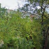 HLOUŠEK RADEK-STĚHOVÁNÍ