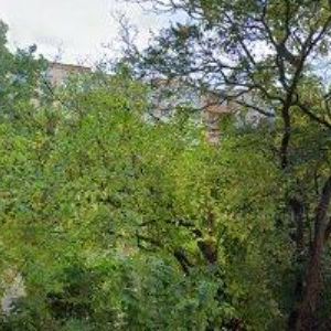 obrazek: avatar HLOUŠEK RADEK-STĚHOVÁNÍ