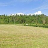 MEPO JEŘÁBNICKÉ PRÁCE s.r.o.