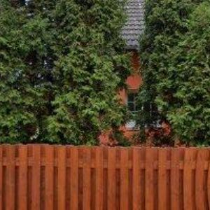 obrazek: avatar JAROSLAV KUČERA KU-KU s.r.o.