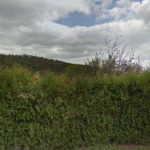 obrazek: avatar REKRUTI