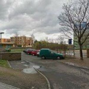 obrazek: avatar REXRAJ