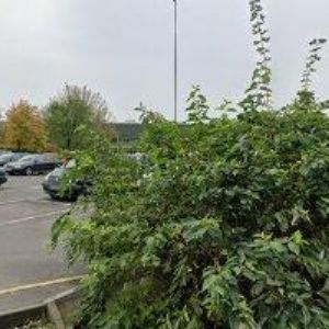 obrazek: avatar VZDĚLÁVACÍ STŘEDISKKO PRODEX