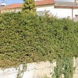 RUBÁK ZDENĚK-ZEMNÍ PRÁCE-OPOČNO