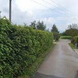 POHOŘELÝ VLADISLAV-ZEMNÍ PRÁCE