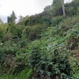 ZŠ A MŠ Bečov nad Teplou