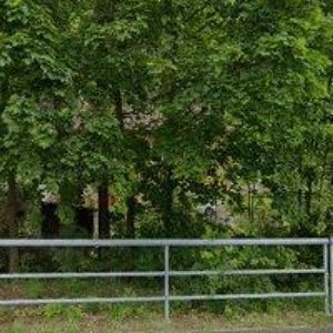 obrazek: avatar SCHNITZER RENÉ