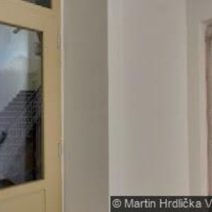 obrazek: avatar GAZELA PLUS s.r.o.